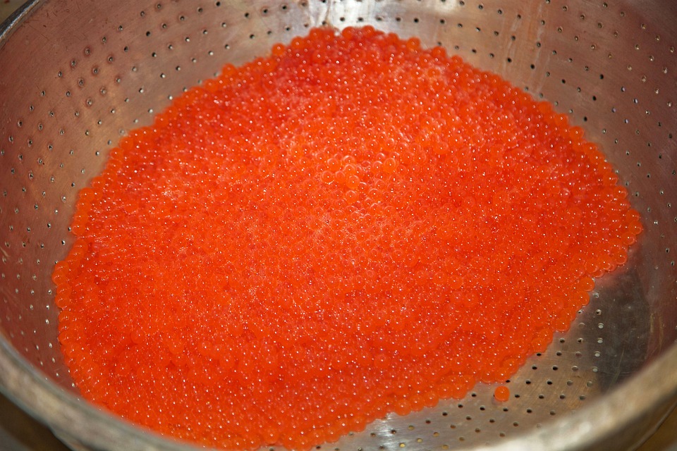 huevos de salmon